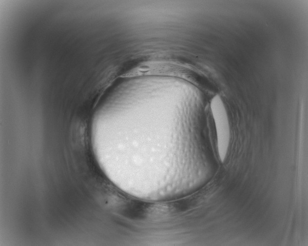 X0000067000123200604142309