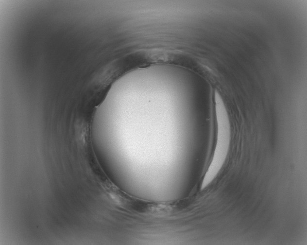 X0000067000125200604142309