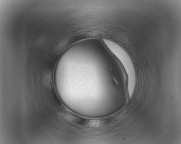 X0000067000127200604142309