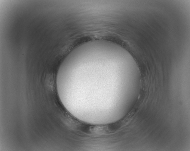 X0000067000129200604142309