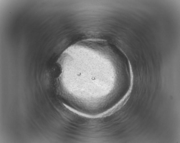 X0000067000130200604142309