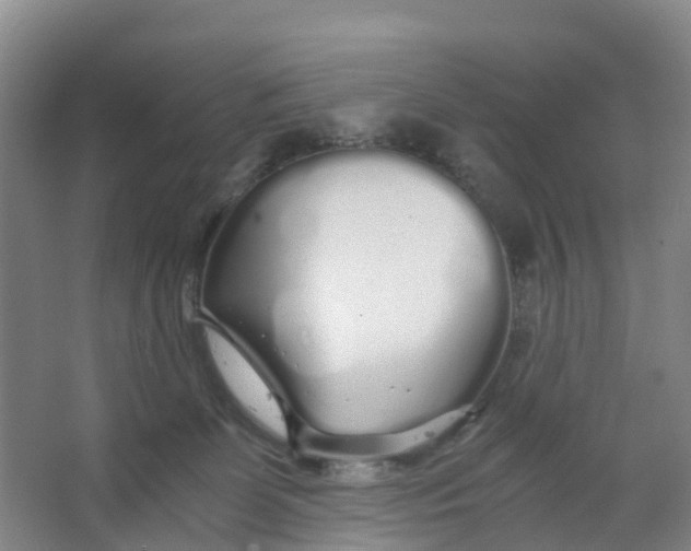 X0000067000131200604142309