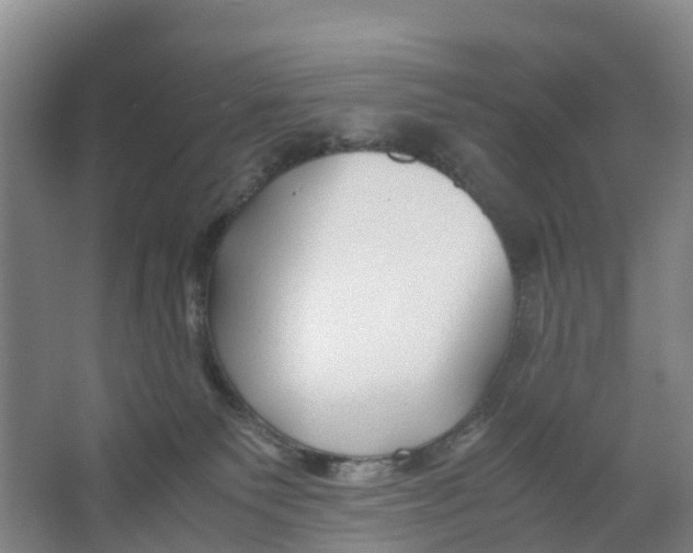 X0000067000135200604142309