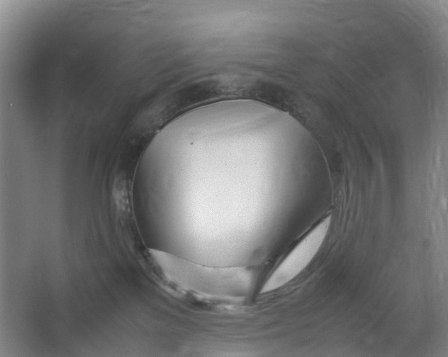 X0000067000137200604142308