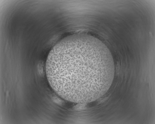 X0000067000138200604142308