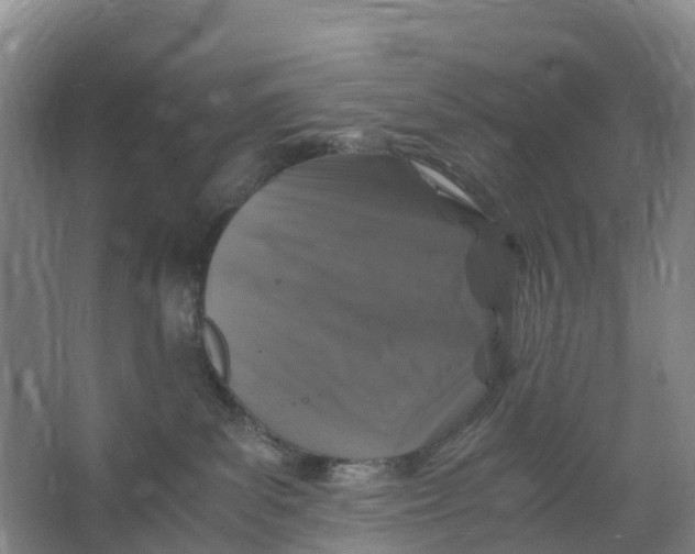 X0000067000139200604142308