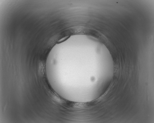 X0000067000142200604142308