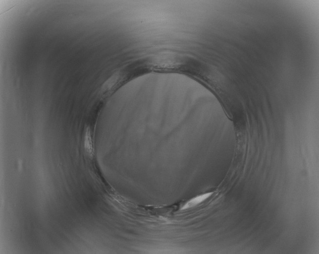 X0000067000143200604142308