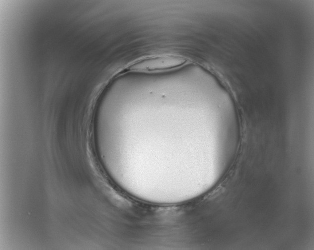 X0000067000145200604142308