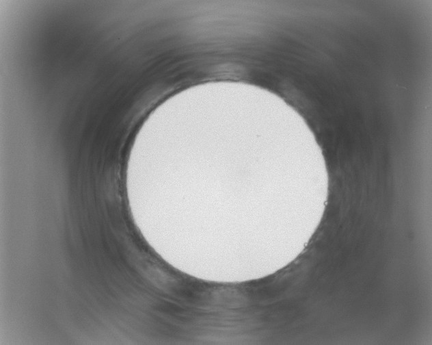 X0000067000146200604142308