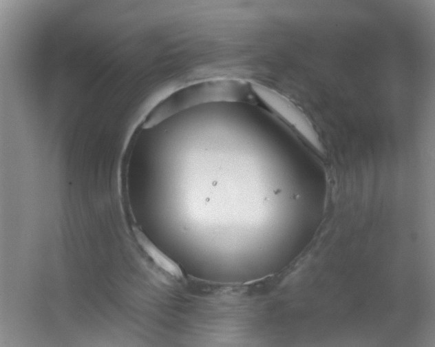 X0000067000148200604142308