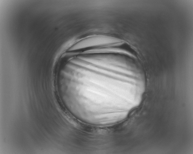 X0000067000149200604142308