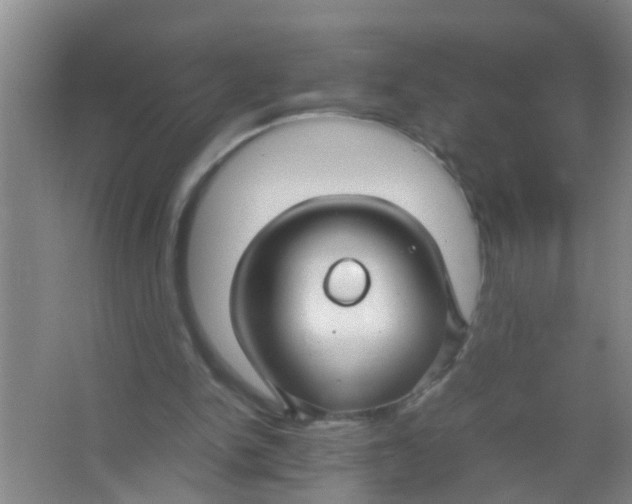 X0000067000150200604142308