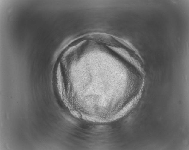 X0000067000151200604142308