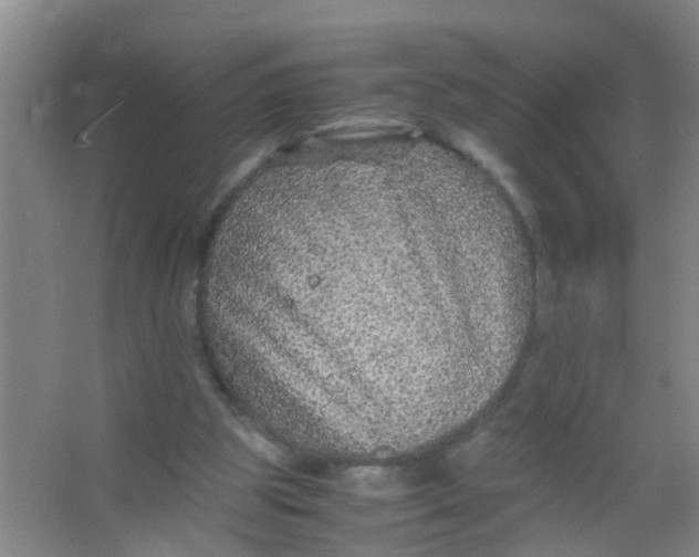 X0000067000153200604142308