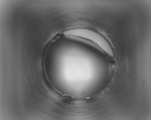 X0000067000154200604142308