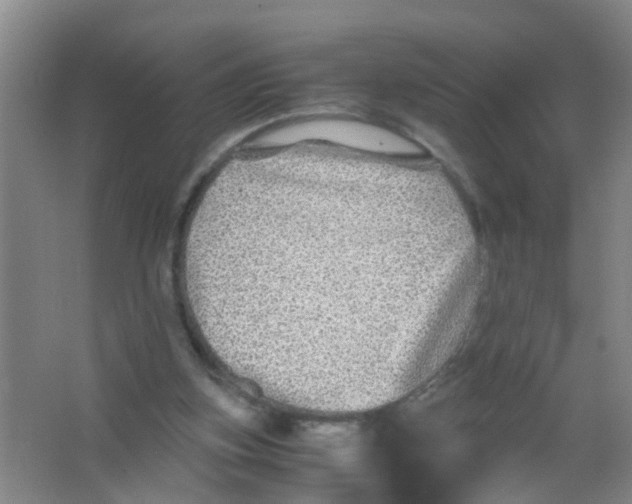 X0000067000155200604142308