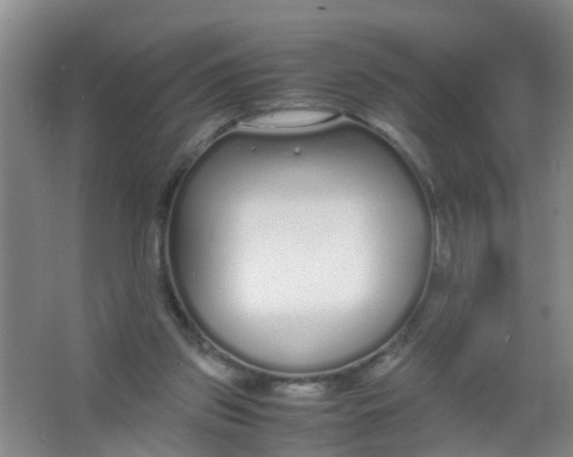 X0000067000157200604142308