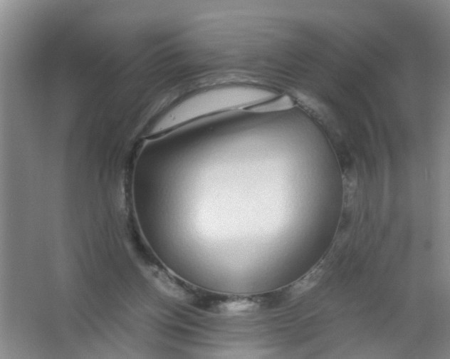 X0000067000158200604142308