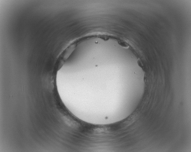 X0000067000160200604142308