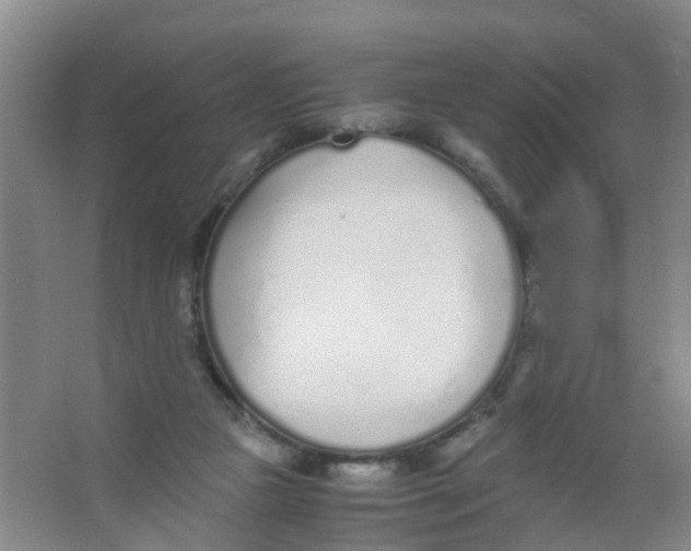 X0000067000161200604142308