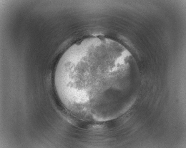 X0000067000163200604142308