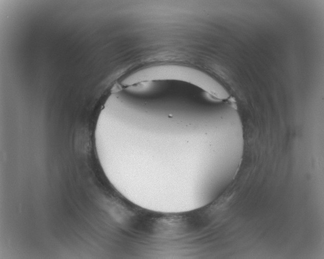 X0000067000164200604142308