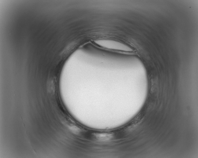 X0000067000165200604142308