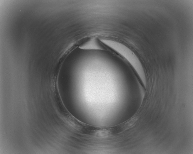 X0000067000168200604142308