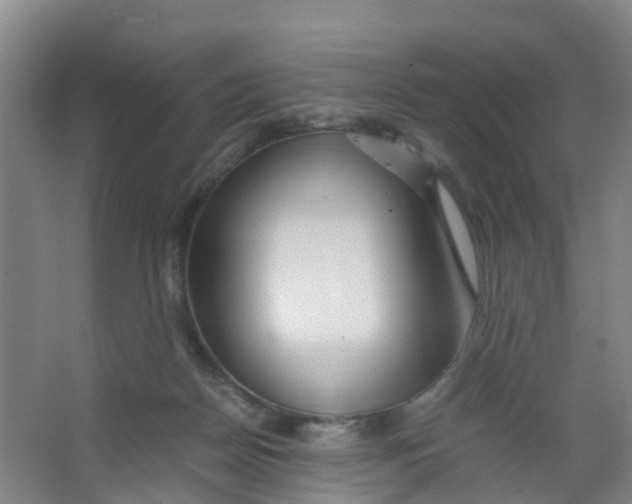 X0000067000170200604142308