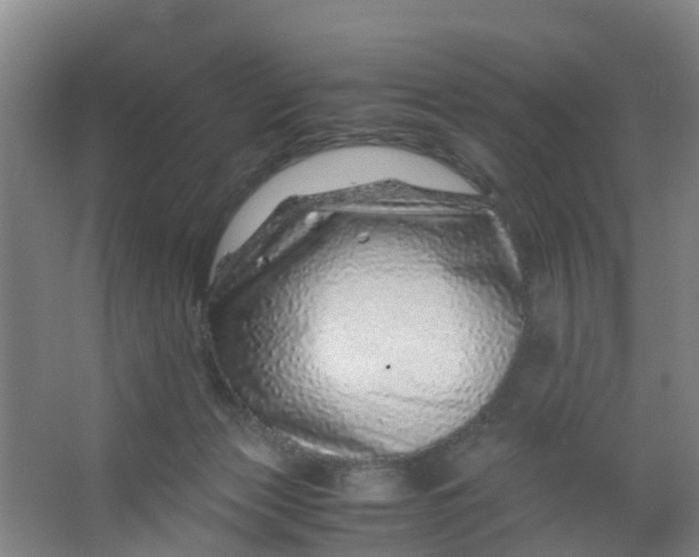 X0000067000173200604142308