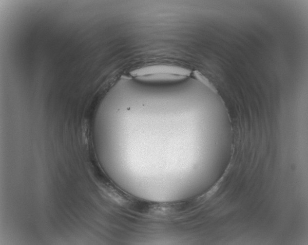 X0000067000174200604142308