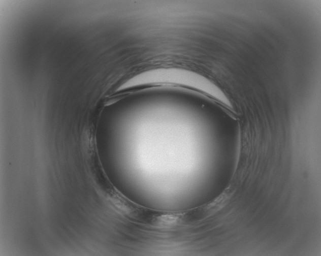 X0000067000176200604142308