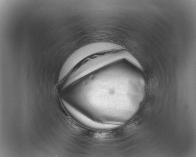 X0000067000177200604142308