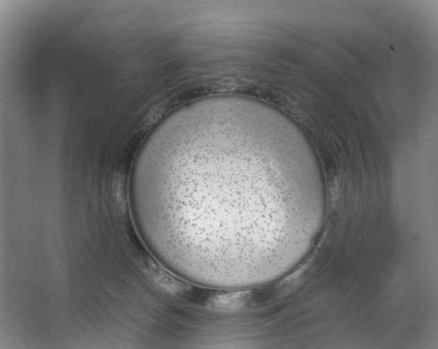 X0000067000178200604142308