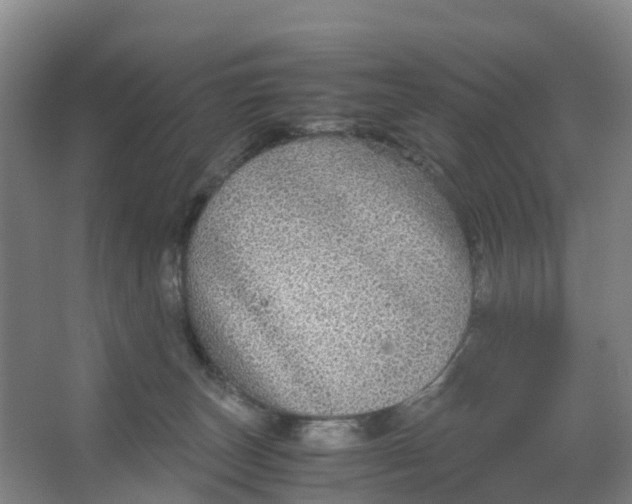 X0000067000179200604142308