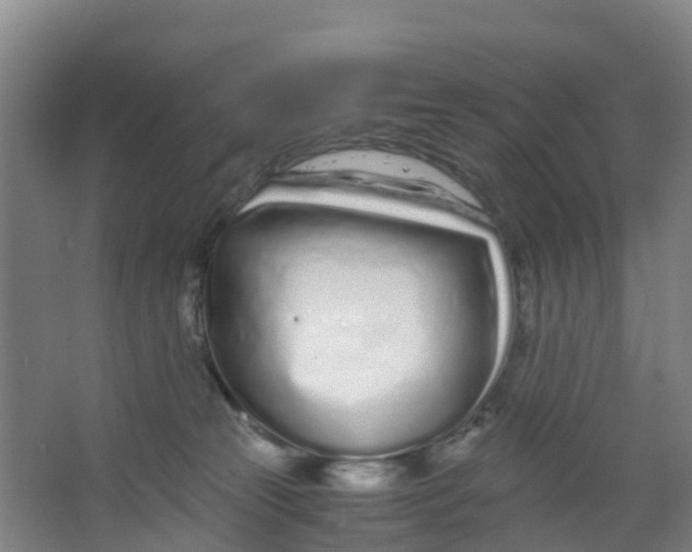 X0000067000181200604142308