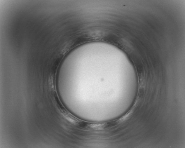 X0000067000182200604142308