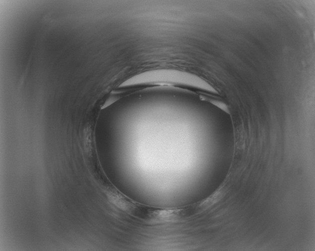 X0000067000184200604142308