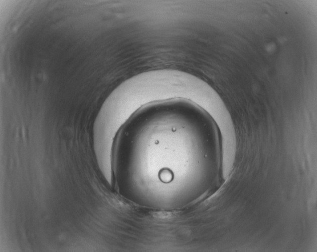 X0000067000187200604142308