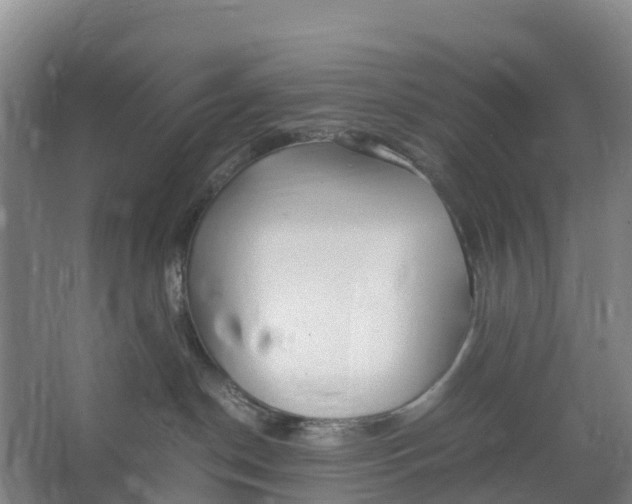 X0000067000190200604142308