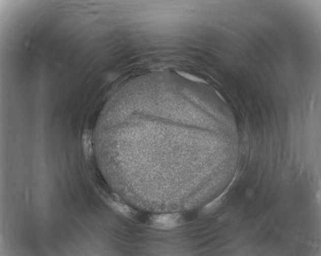 X0000067000191200604142308