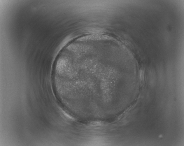 X0000067000195200604142308