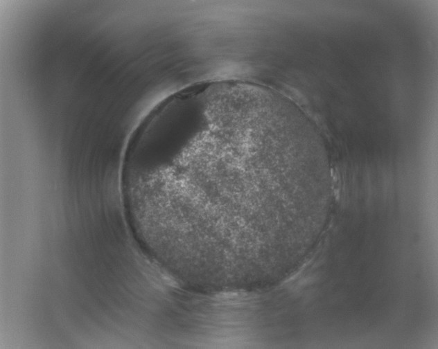 X0000067000196200604142307