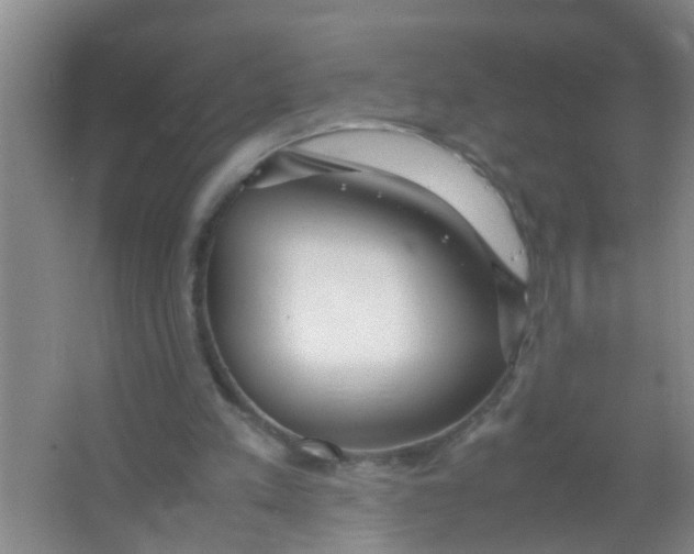 X0000067000197200604142307