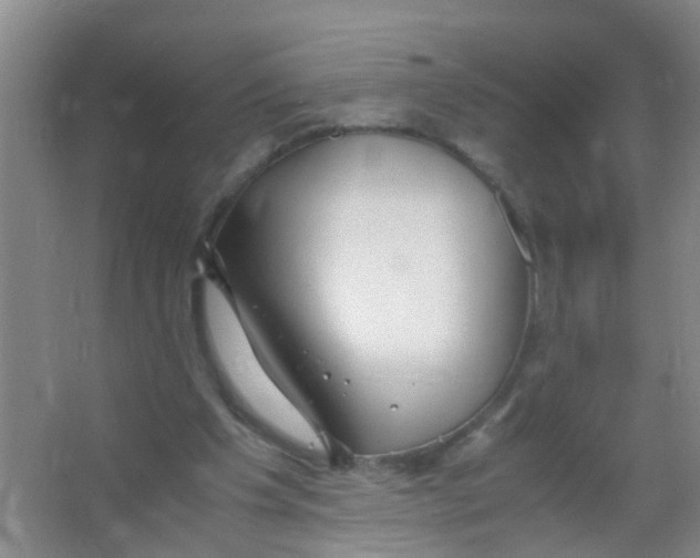 X0000067000201200604142307