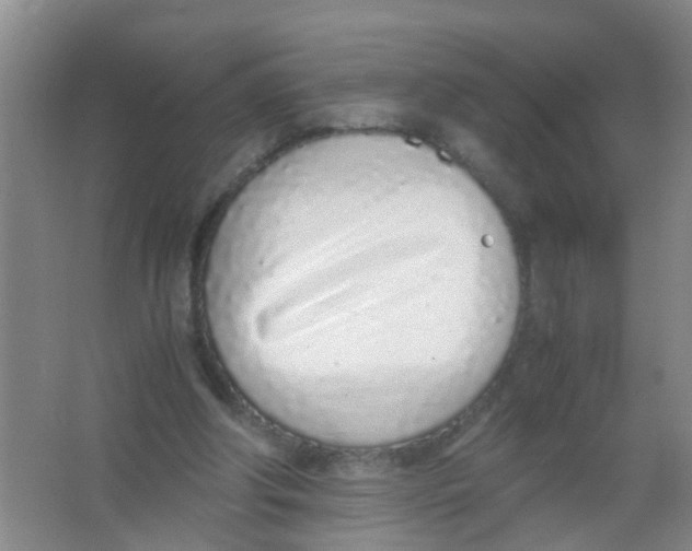 X0000067000202200604142307