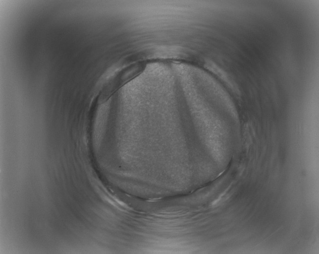 X0000067000203200604142307