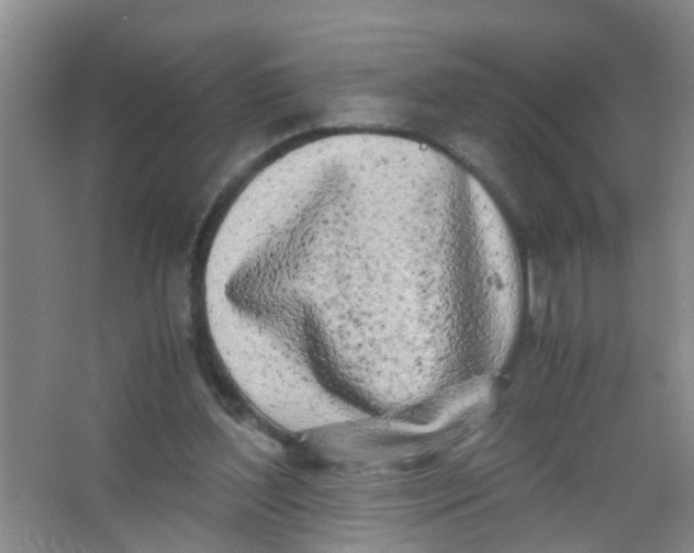 X0000067000204200604142307