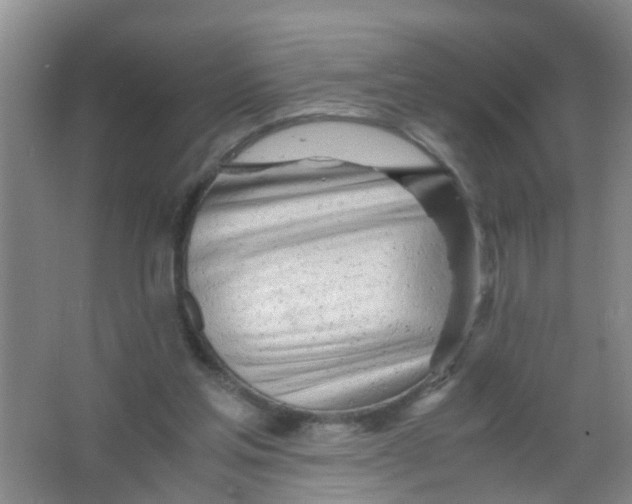 X0000067000205200604142307